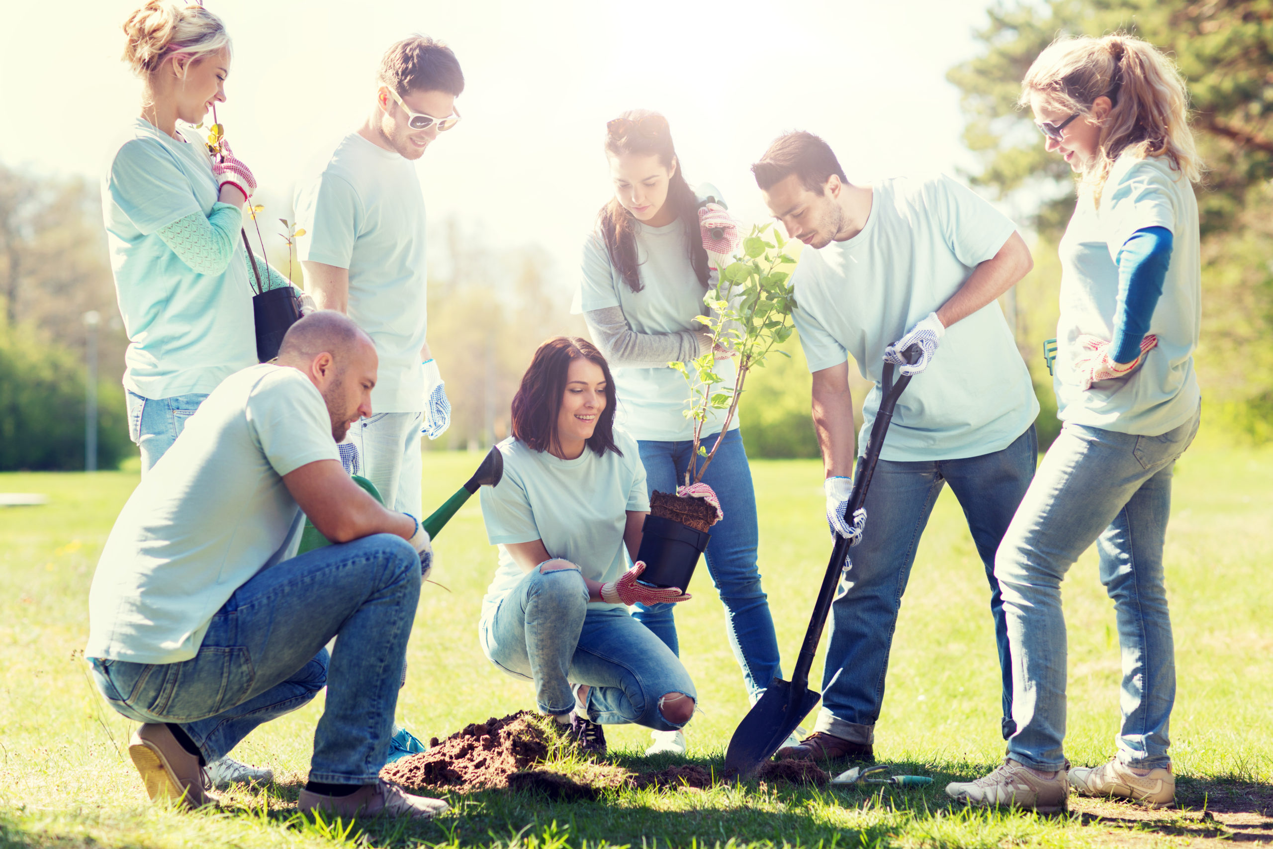 volunteering, charity, people and ecology concept - group of happy volunteers planting tree and digging hole with shovel in park