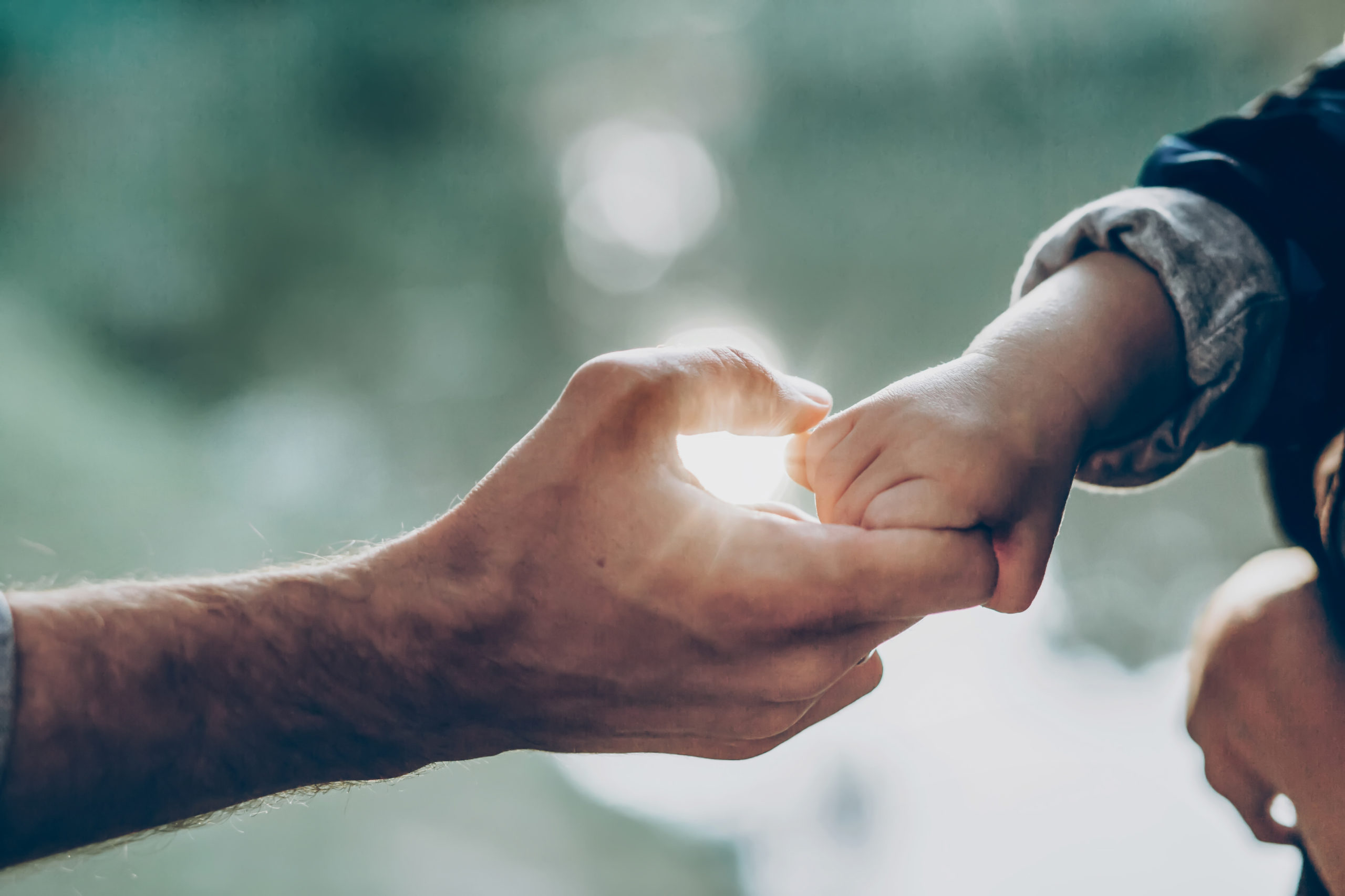 father and little son holding hands in sunlight. father's hand lead his child son in summer forest nature outdoor, trust, protecting, care, parenting family concept. road to life.